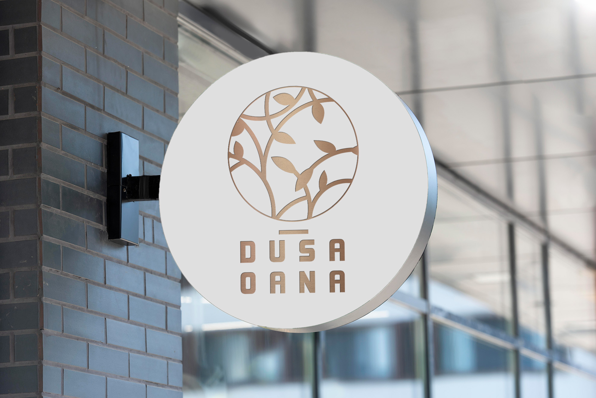 dusaoana2.jpg